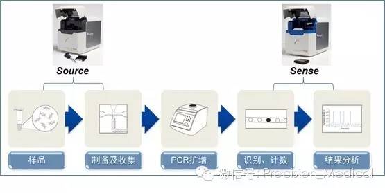 基因突變檢測技術 原理、應用與未來展望